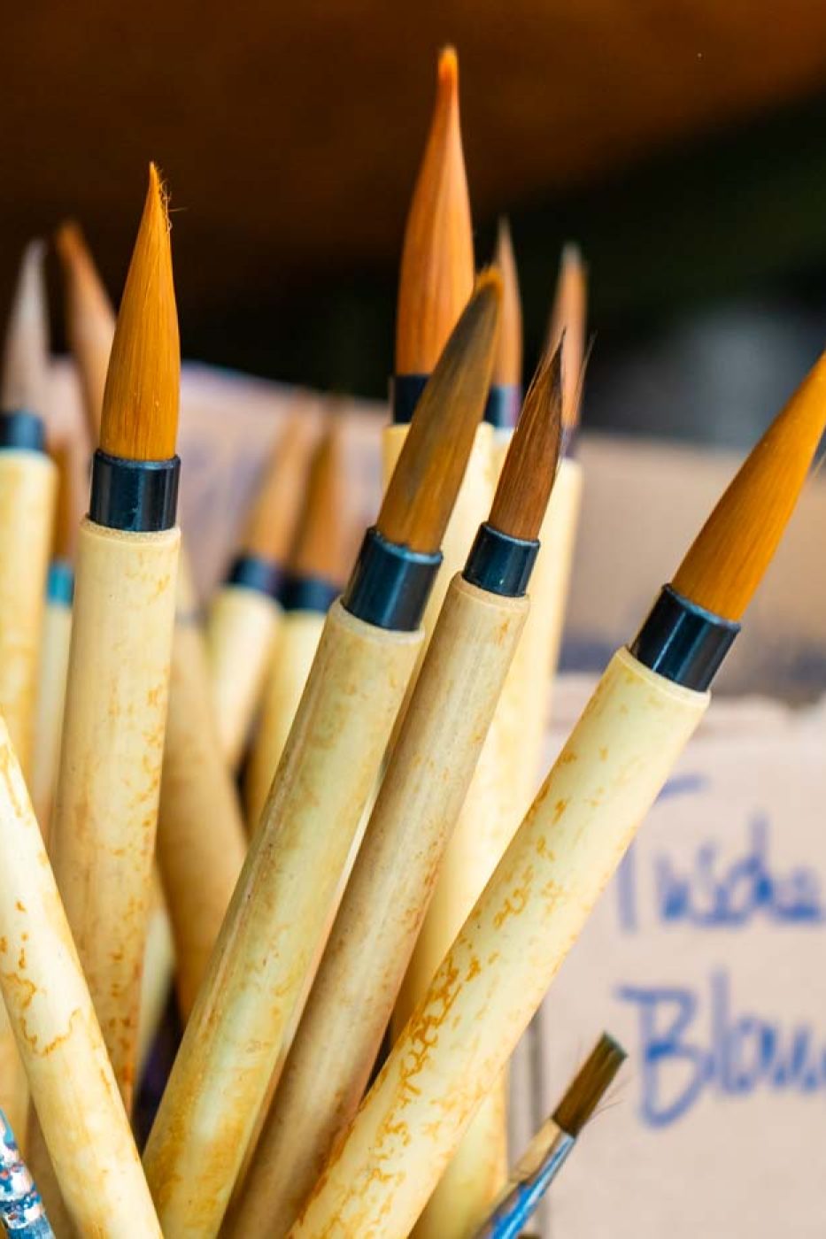 evsl-2025 (82 von 296)